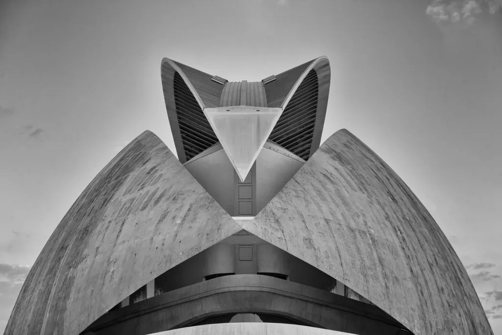 The opera house in Valencia was designed by the Spanish architect Santiago Calatrava