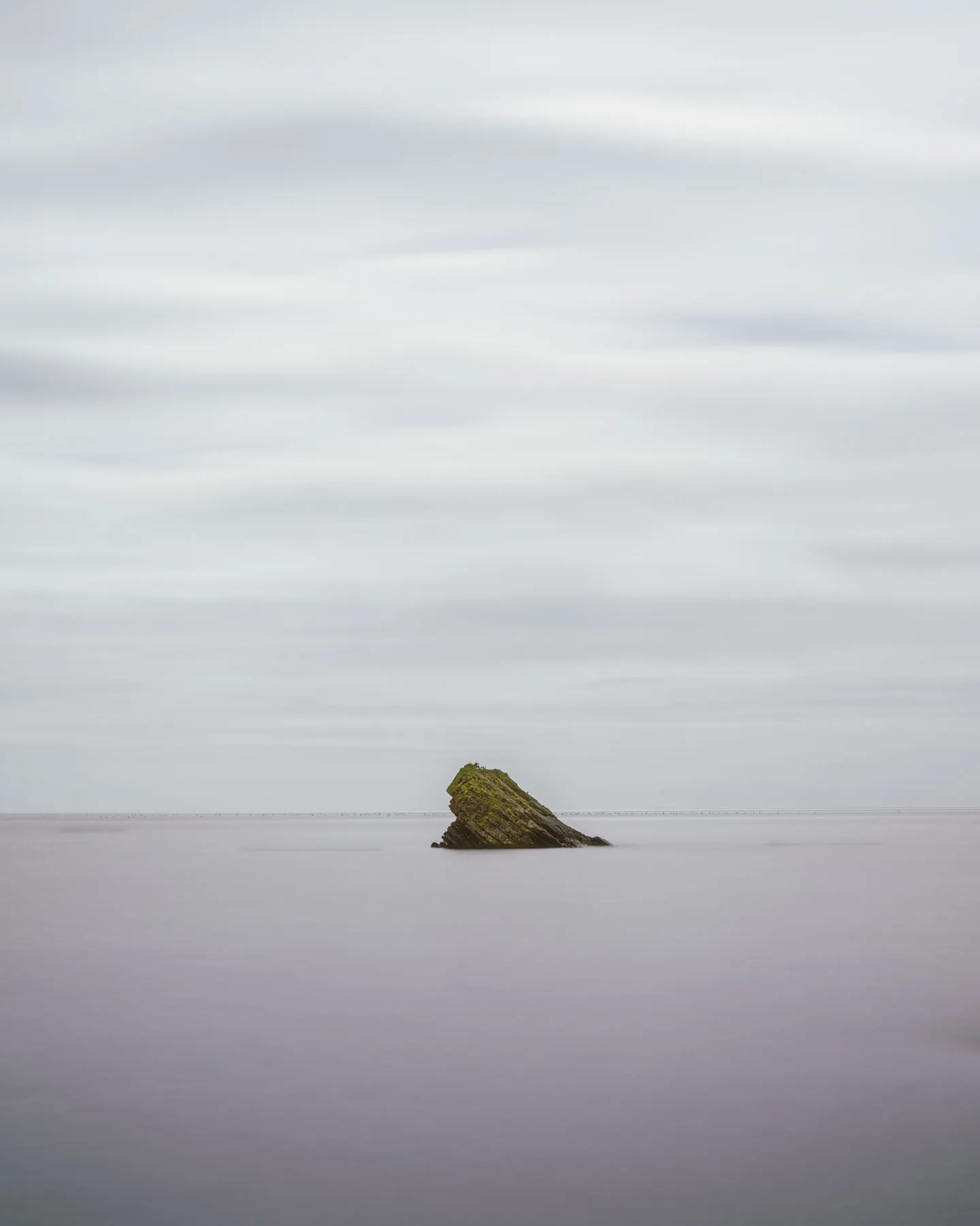 Shag Rock photograph Devon