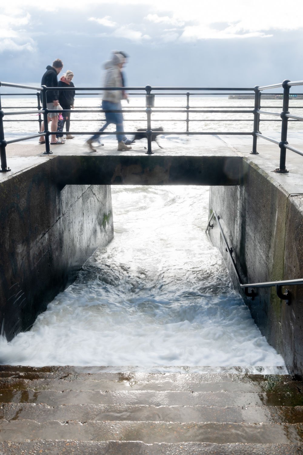 The Dog Walker The Dog Walker