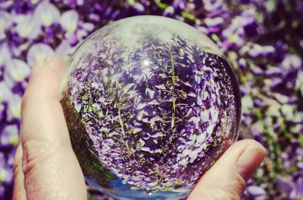 Crystal Clear Creativity: Mastering Lensball Photography Experiment