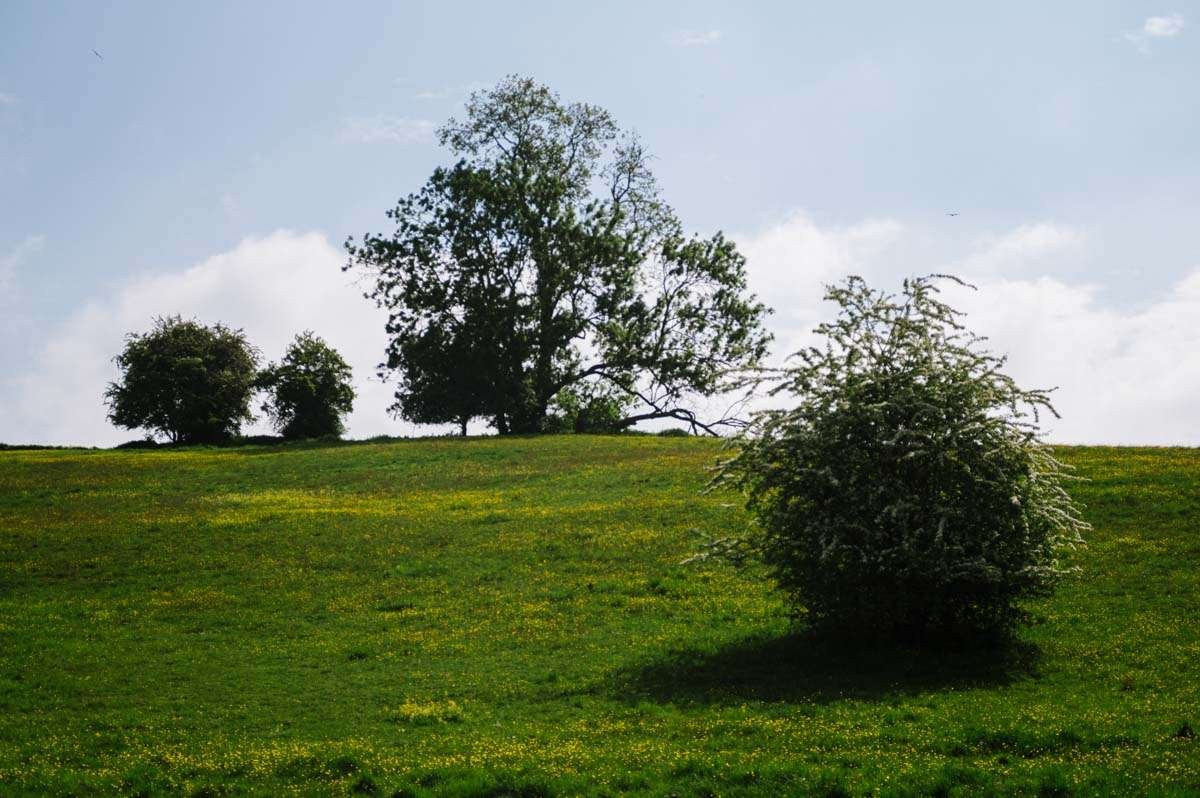Photograph of Fields in Oxfordshire
