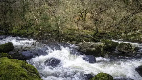 Photographing Sharrah Pool: Capturing Nature’s Beauty in Dartmoor