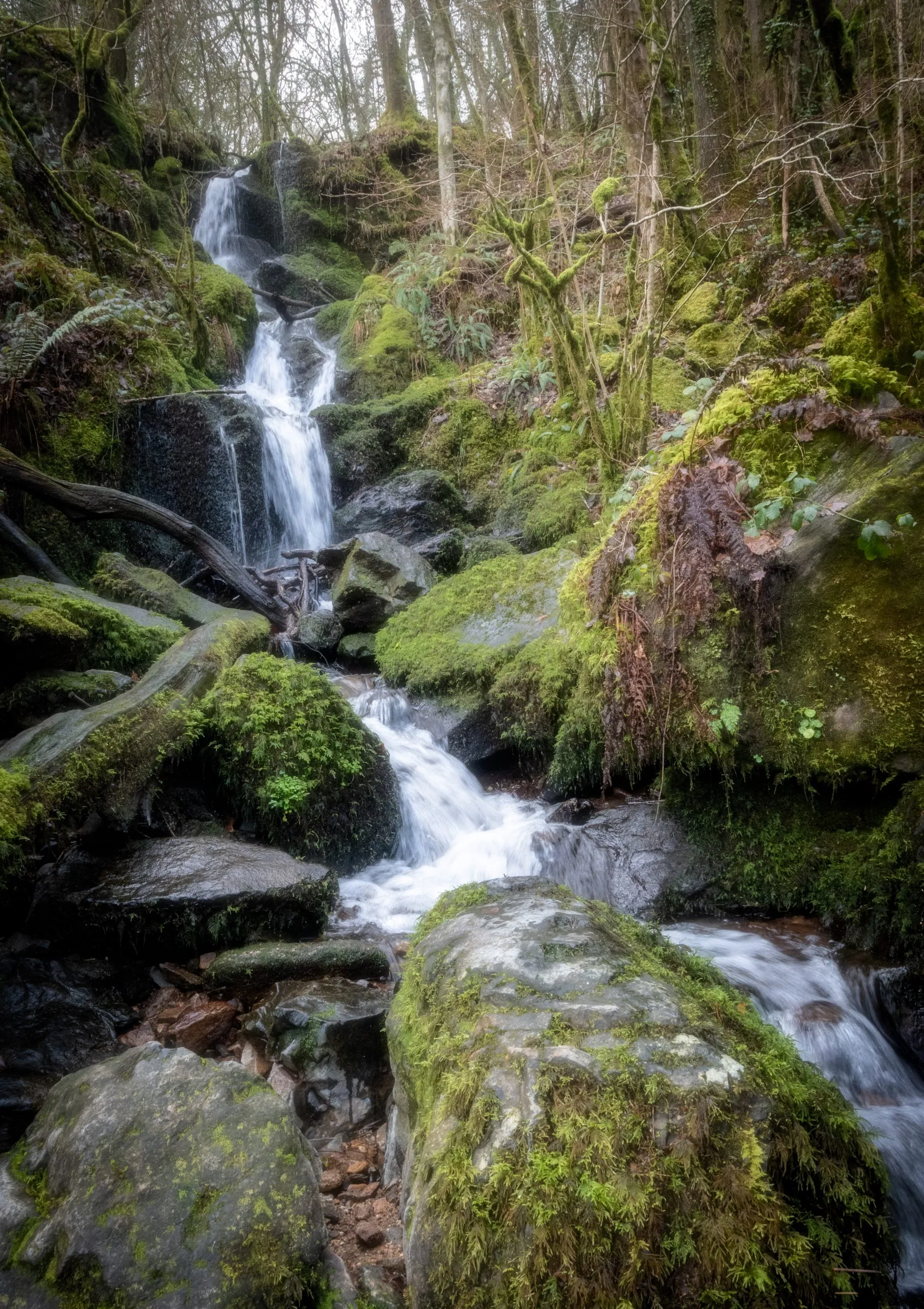 Photo of waterfall in Dartmoor