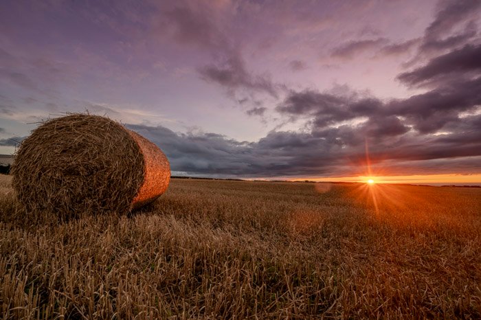 Capturing Spontaneous Moments: A Photographer’s Journey Through Cornwall