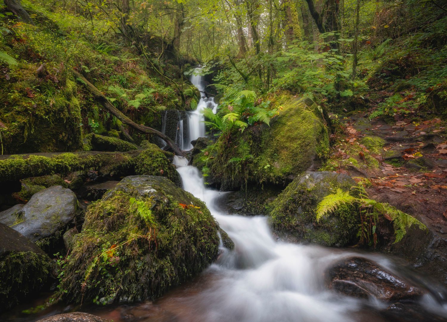 Landscape Orientation photograph of Waterfall