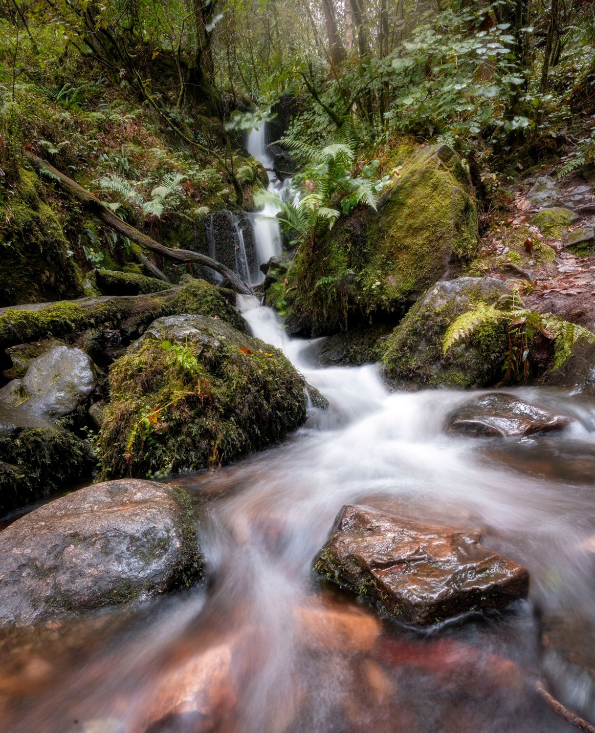 Portrait photograph of Waterfall