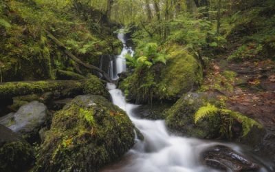 Photographing Sharrah Pools and the Wild Beauty of Dartmoor National Park