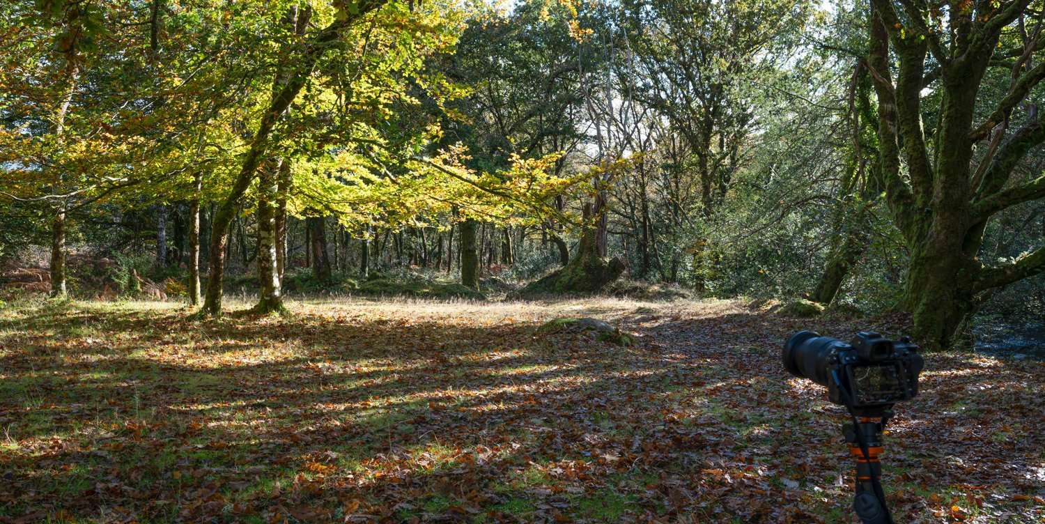 anamorphic An image take with an Anamorphic lens