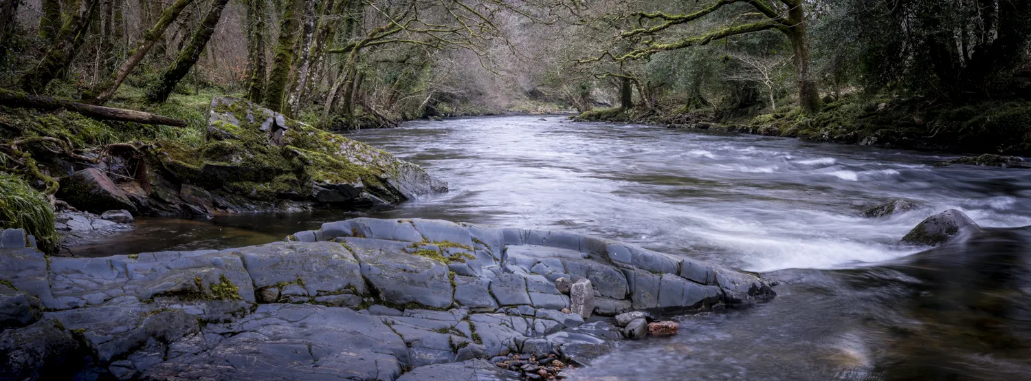 Fujifilm FujiGFX100s River Dart Dartmoor
