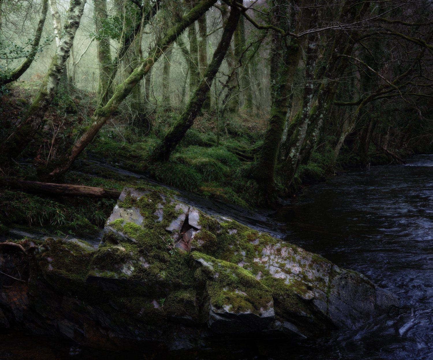Fuji GFX100s ii at Dartmoor