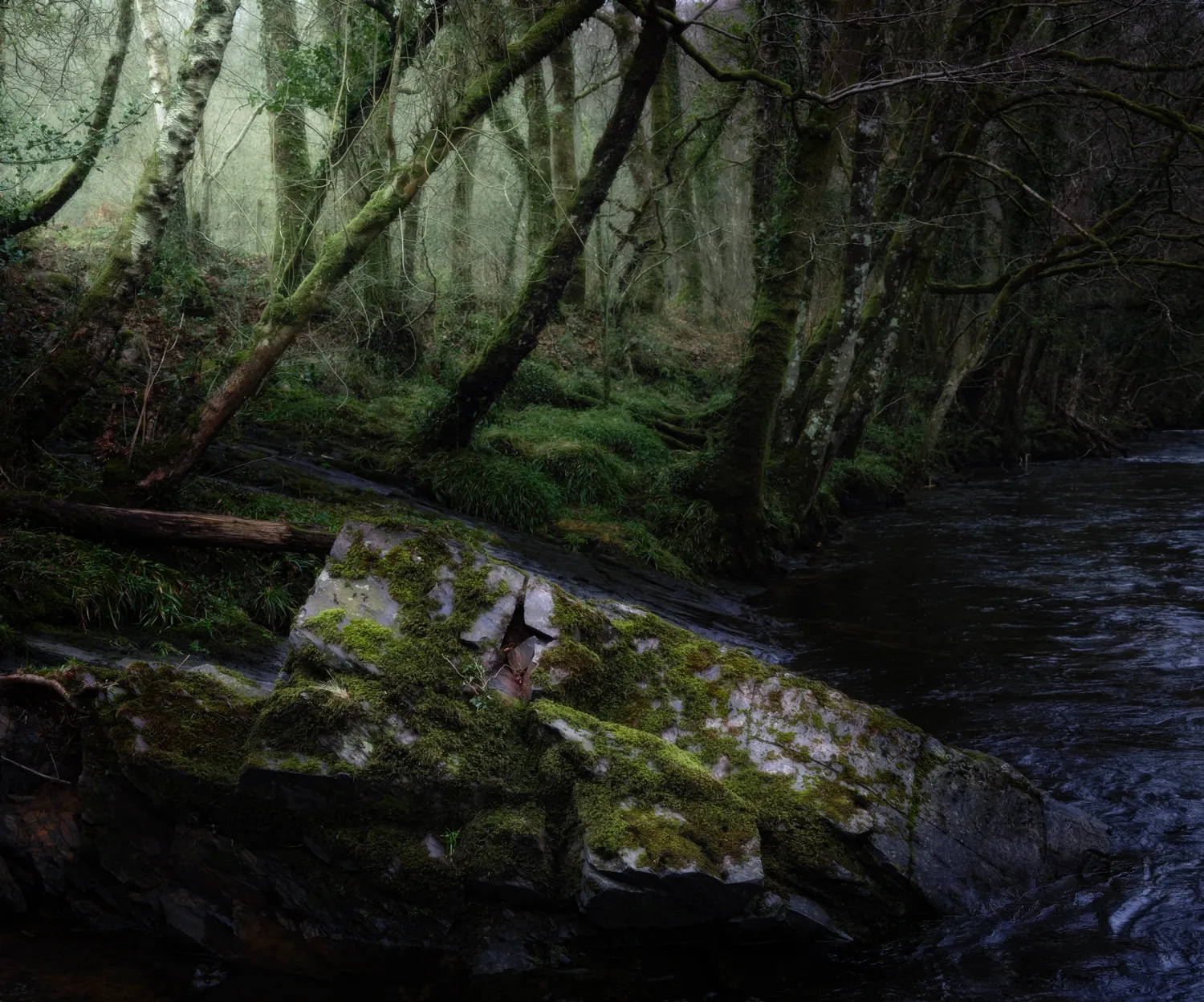 Fuji GFX100s ii at Dartmoor