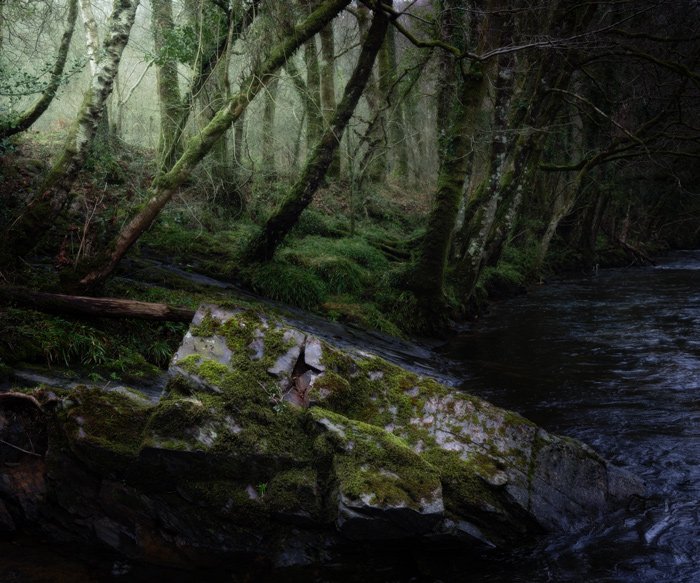 Heart vs Head: Choosing the Fujifilm GFX100S II and Embracing Medium Format Photography