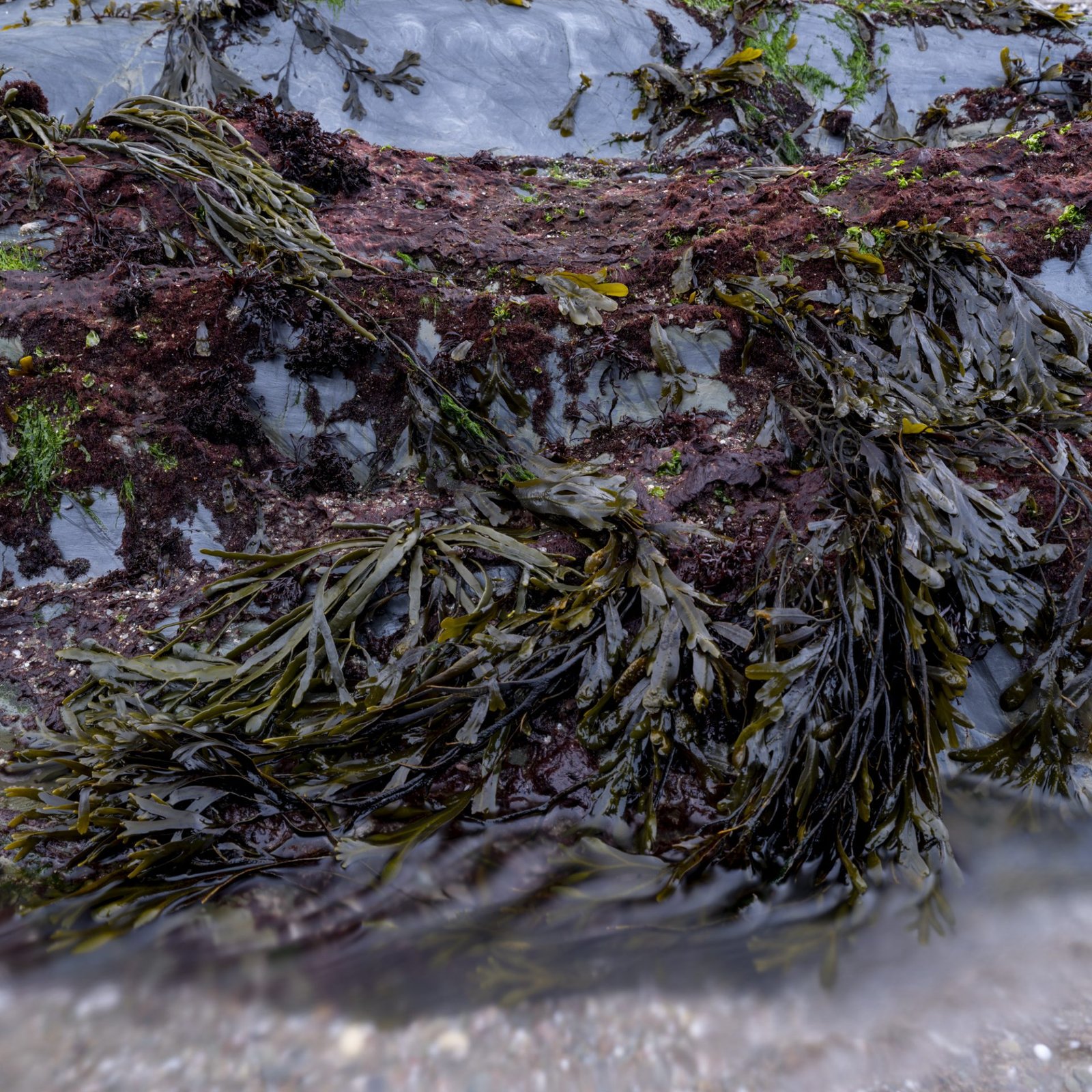 Devon Beach with Fuji Film GFX100s II-2 Sunset photogrpahy at Arymer Cove Devon
