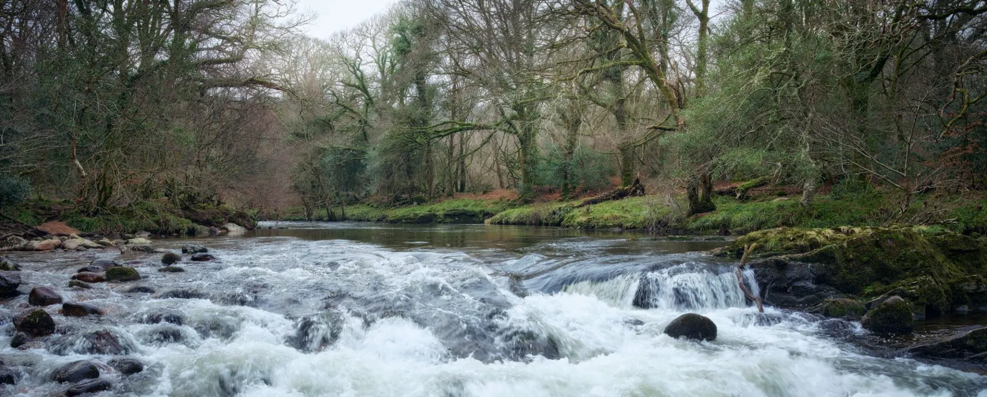 The River Dart photographed using the Fuji GFX 100s ii