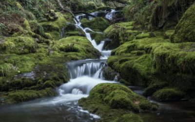 Capturing Venford Falls: A Photography Escape in Dartmoor