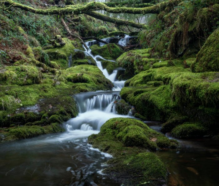 Capturing Venford Falls: A Photography Escape in Dartmoor