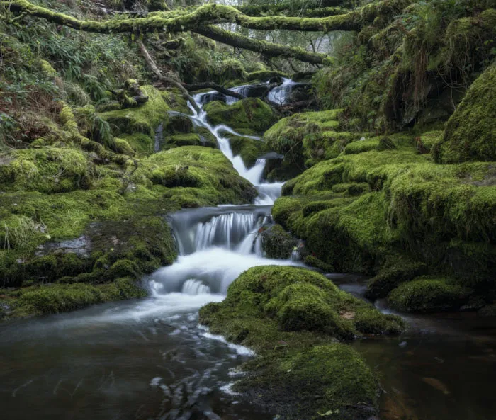 Capturing Venford Falls: A Photography Escape in Dartmoor