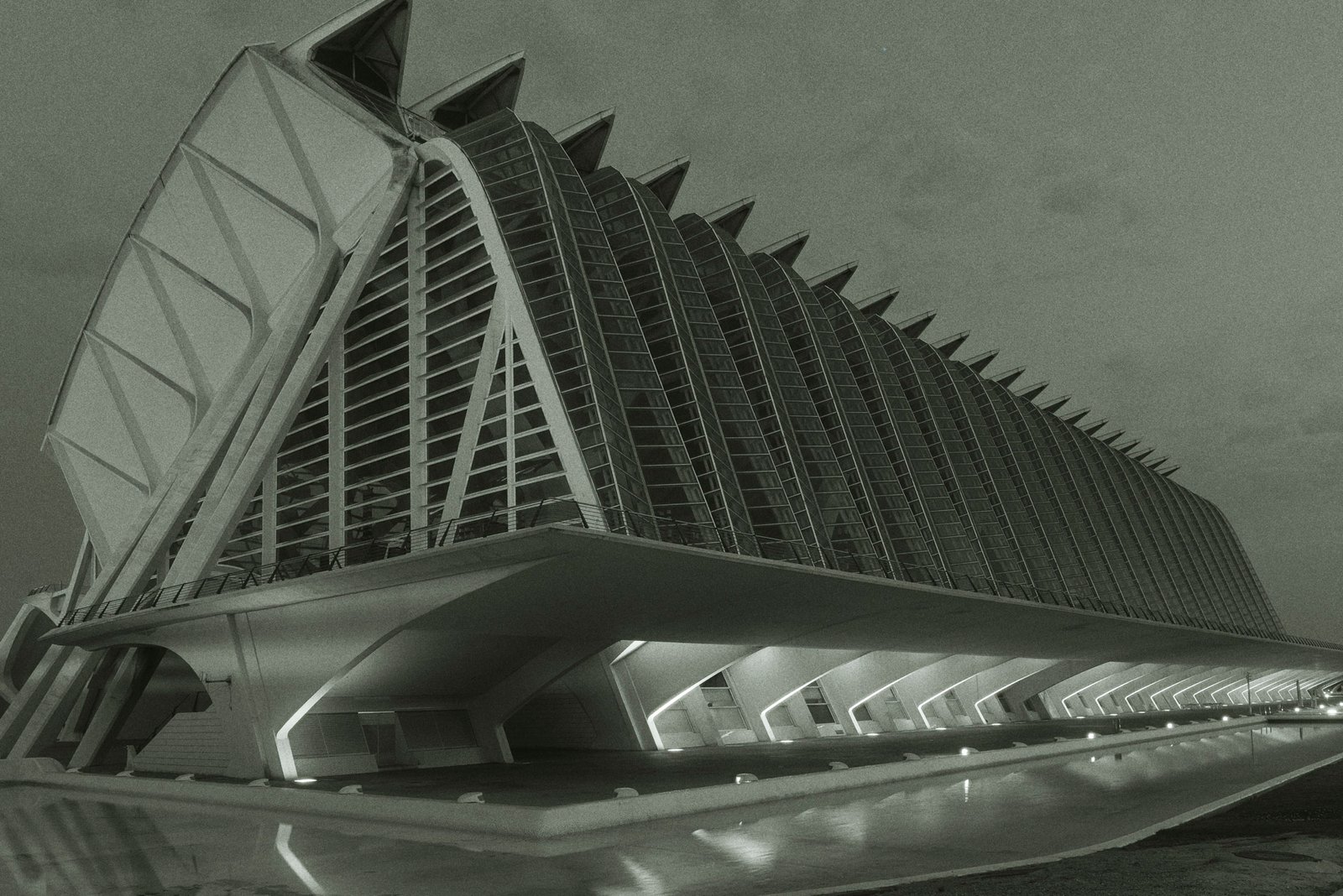 Science This photograph captures a striking architectural scene featuring the Museu de les Ciències PrÃncipe Felipe in Valencia, Spain.