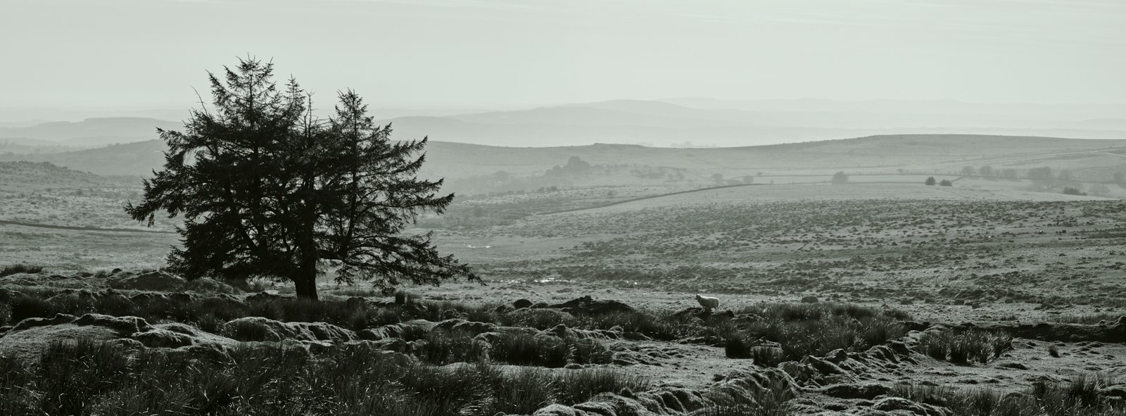 Foggintor_3 The approach to Foggintor Quarry a bllack and white photo