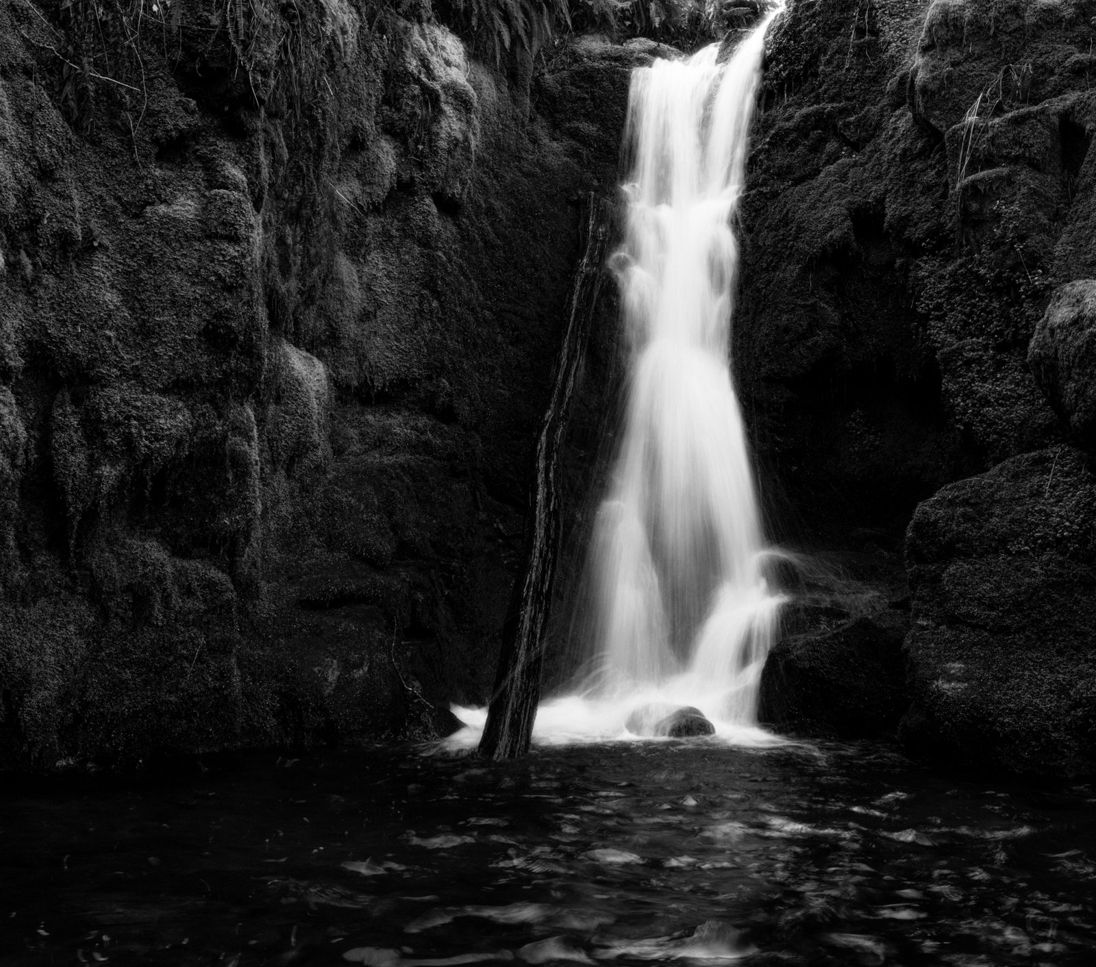 Venford1900-2 Valencia City of Arts and Science