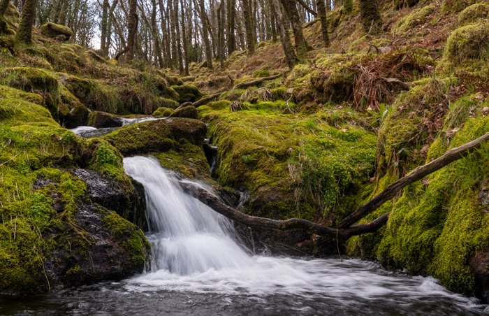Revisiting Venford Falls: Spring Landscape Photography in Dartmoor