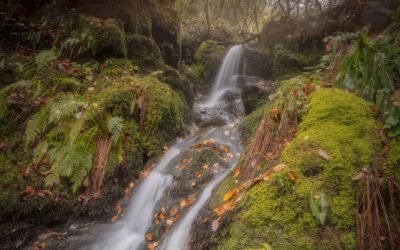 Dartmoor in the Rain: Waterfalls, Woodland & Photography