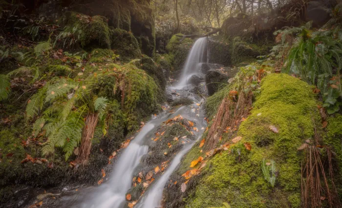 Dartmoor Photography in The Rain