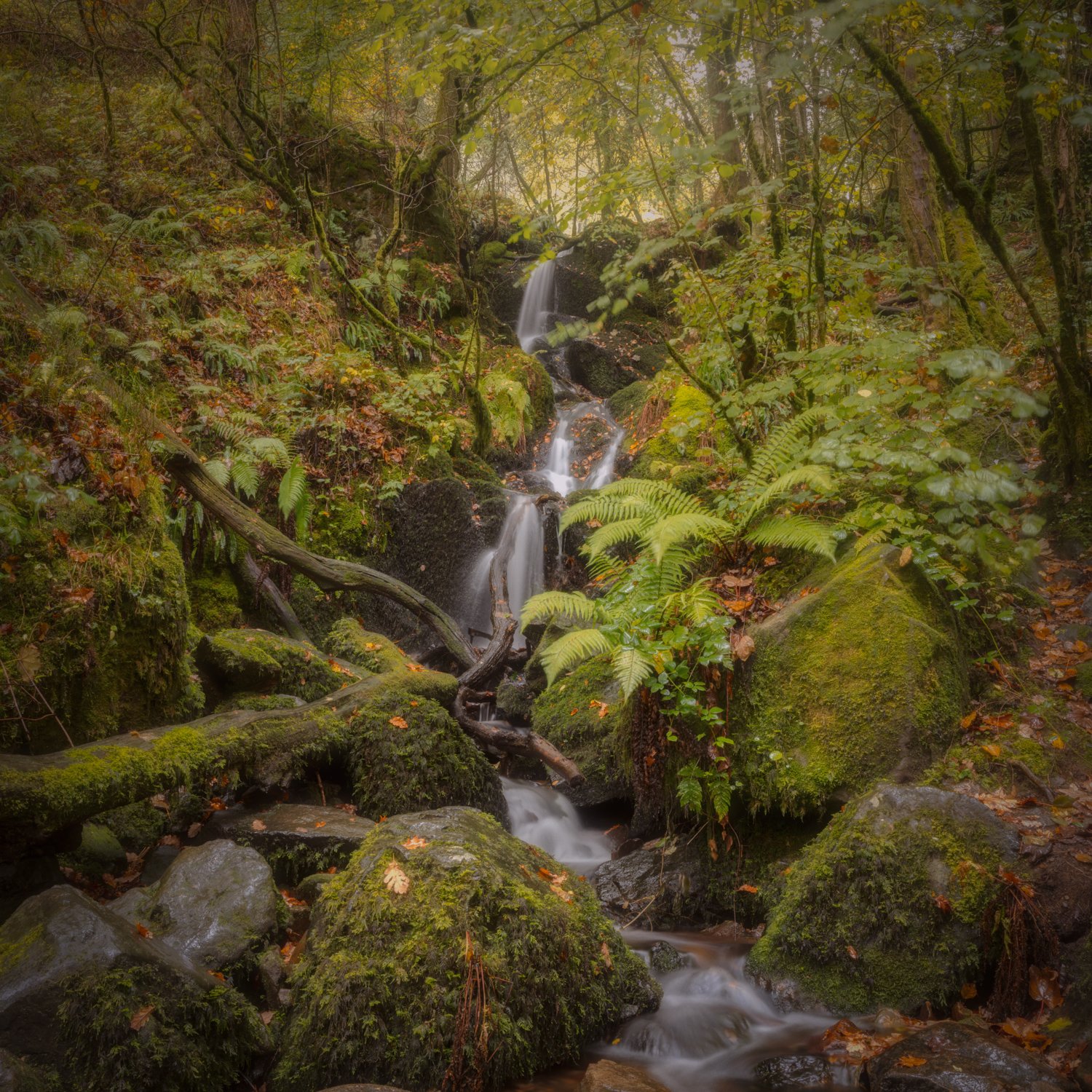 Ayrmer Cove Devon photographed on Fujifilm GFX100s II