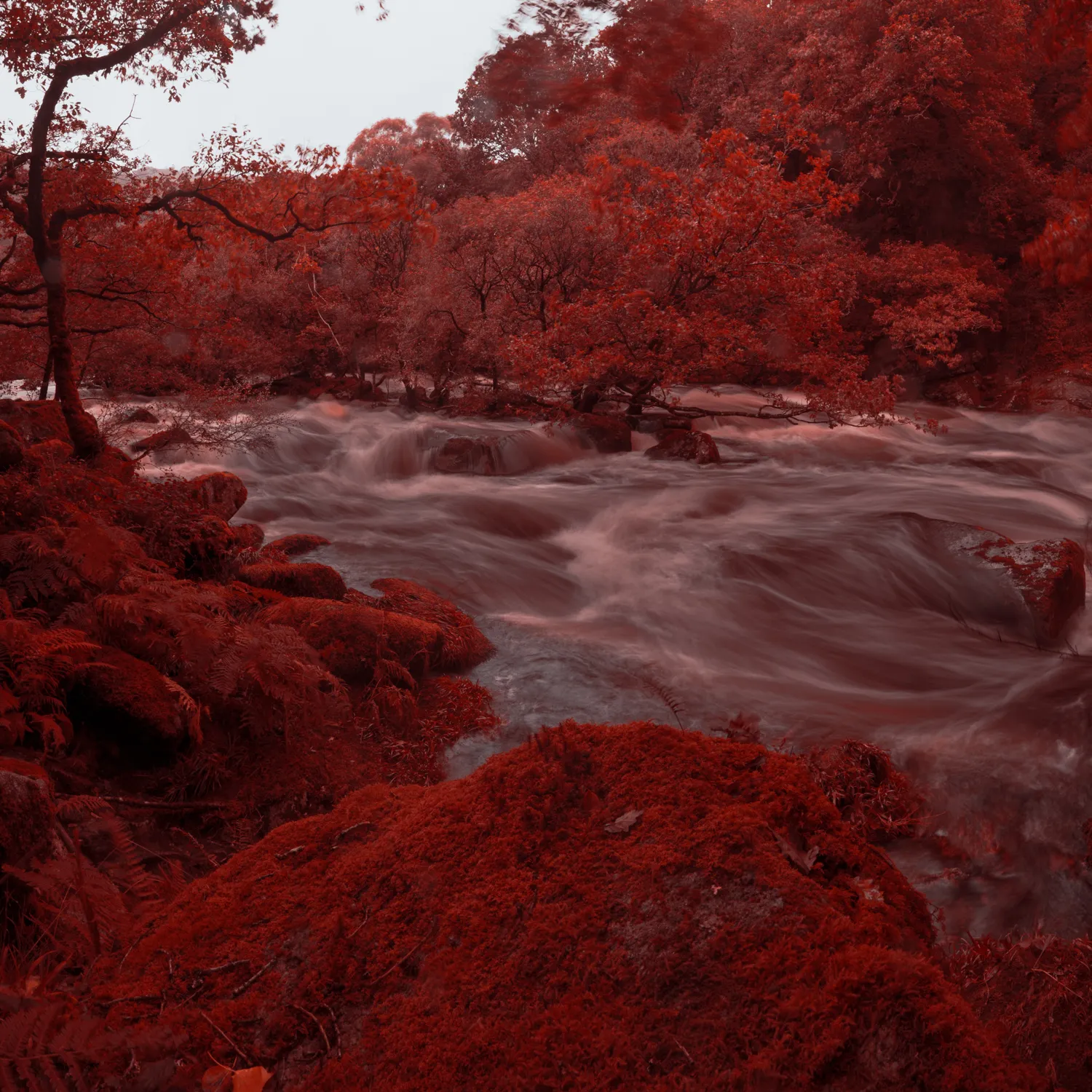 The river dart aerochrome