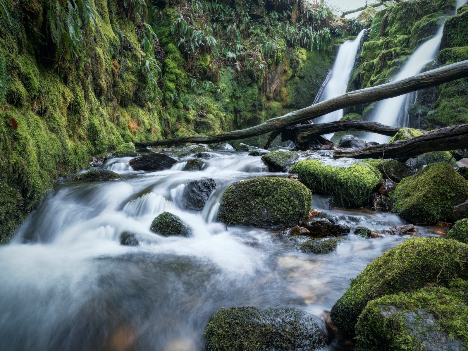 Broken tree over brook at Ventfood falls dartmoor