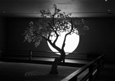 Japanese influenced art installation
