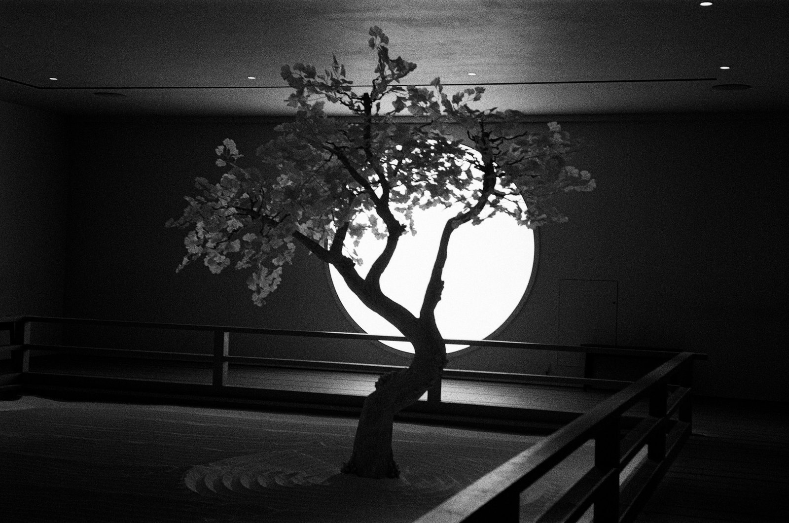 Valencia Web-15 Japanese influenced art installation