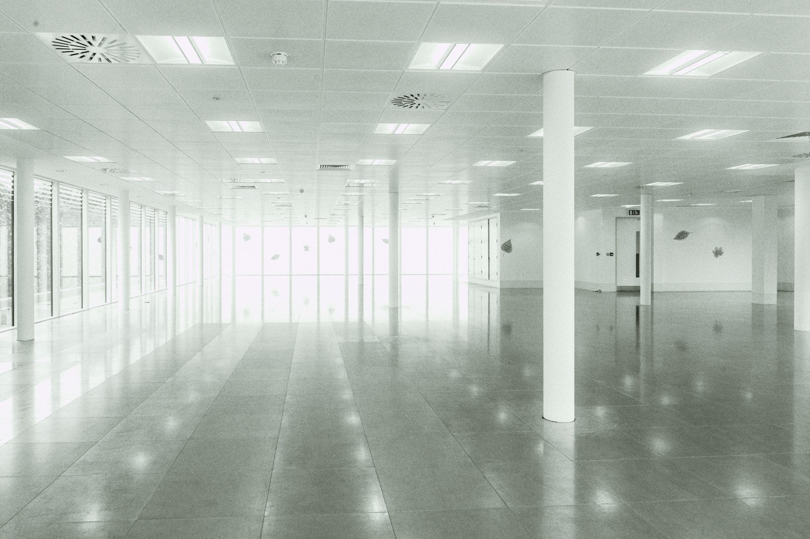 Sunlight streams through the windows of an empty refurbished office, creating a calm liminal space that evokes stillness and reflection.